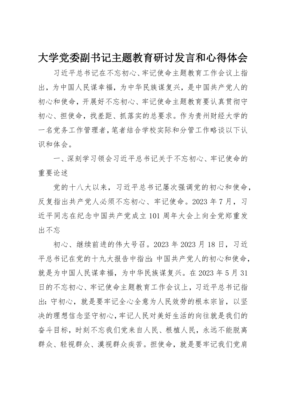 2023年大学党委副书记主题教育研讨讲话和心得体会.docx_第1页