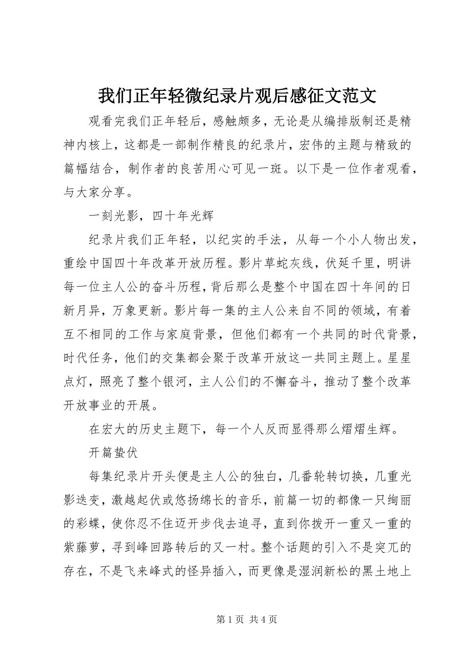 2023年我们正年轻微纪录片观后感征文.docx_第1页