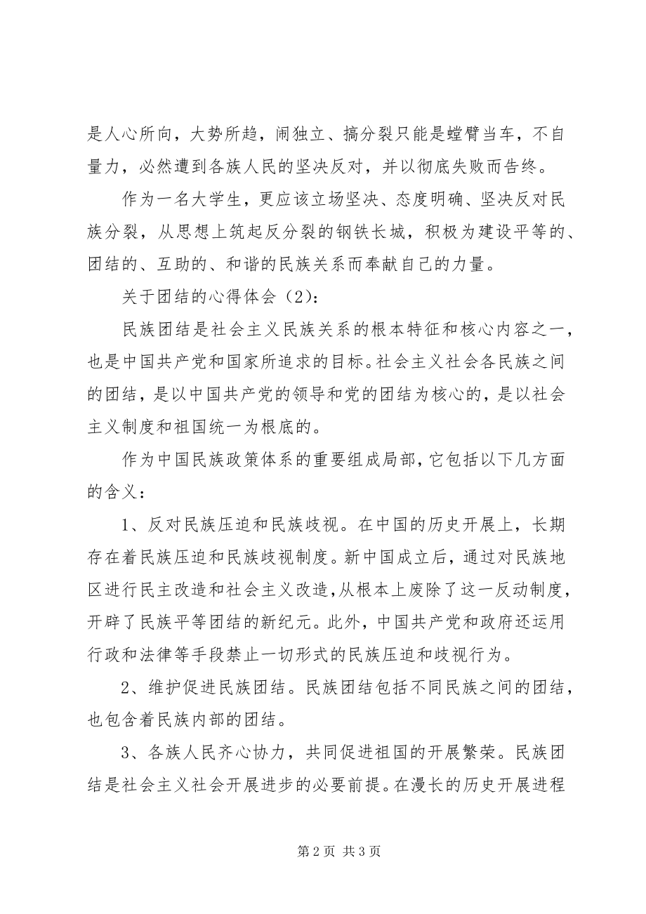 2023年团结的心得体会.docx_第2页