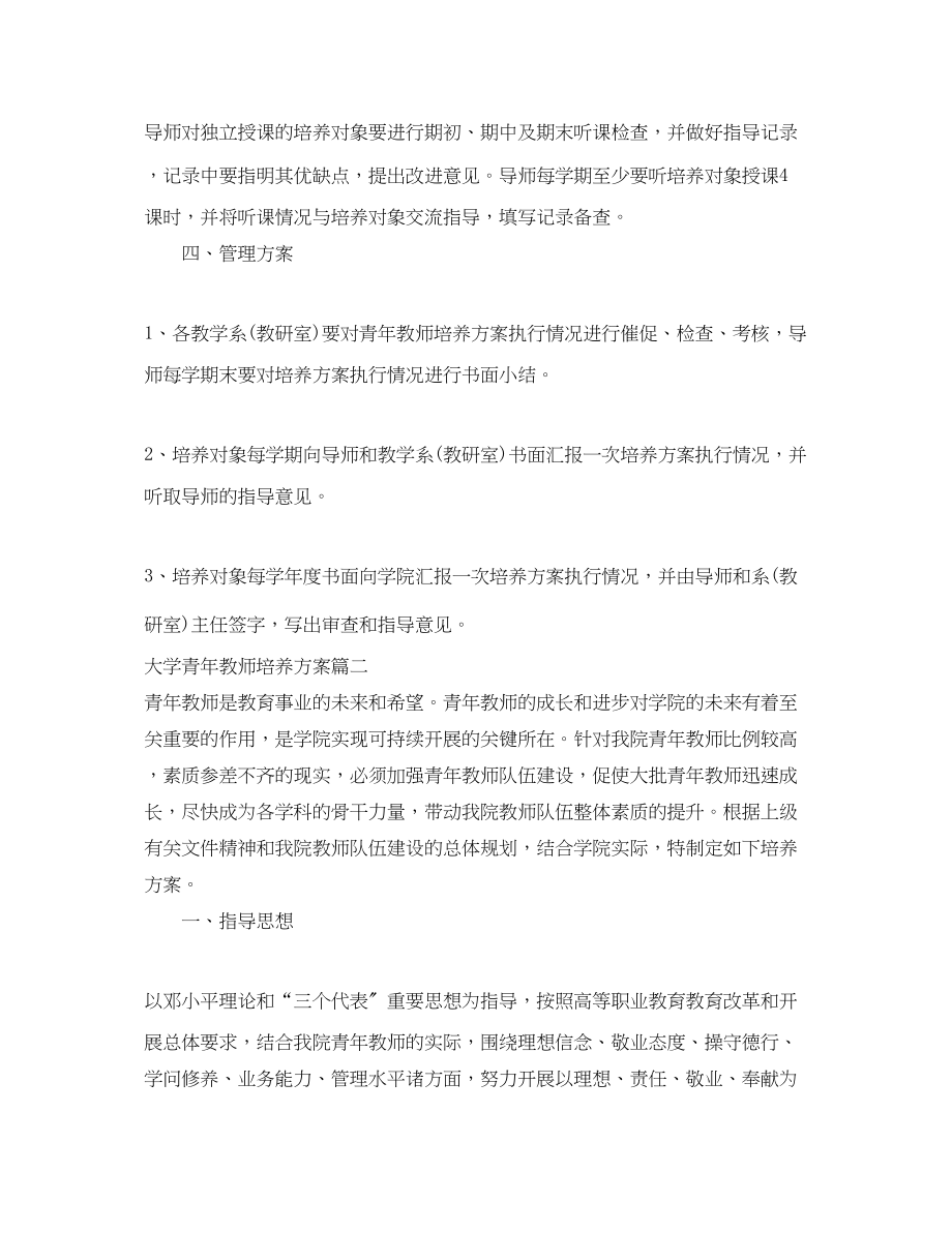 2023年大学青教师培养计划.docx_第3页