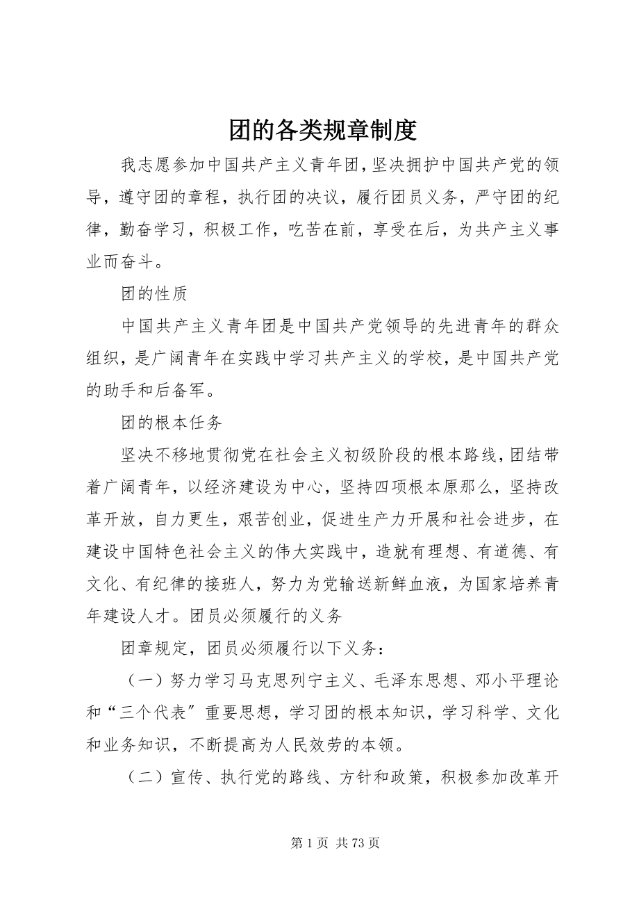 2023年团的各类规章制度.docx_第1页