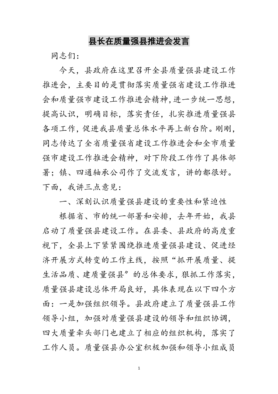 2023年县长在质量强县推进会发言范文.doc_第1页