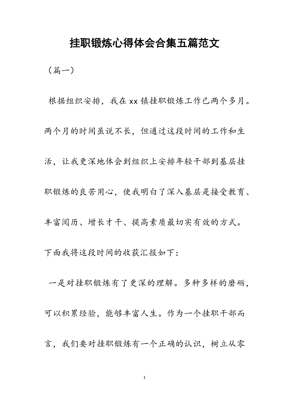 2023年挂职锻炼心得体会五篇.docx_第1页