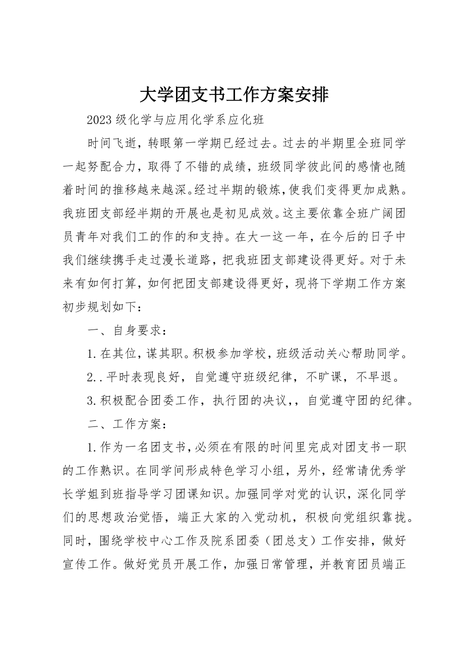 2023年大学团支书工作计划安排.docx_第1页