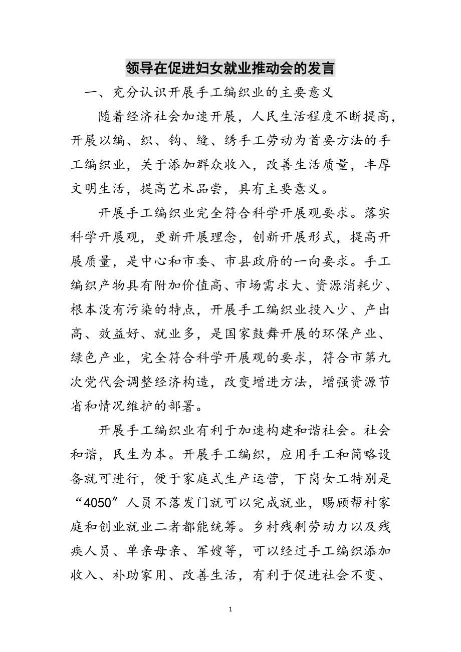 2023年领导在促进妇女就业推动会的发言范文.doc_第1页