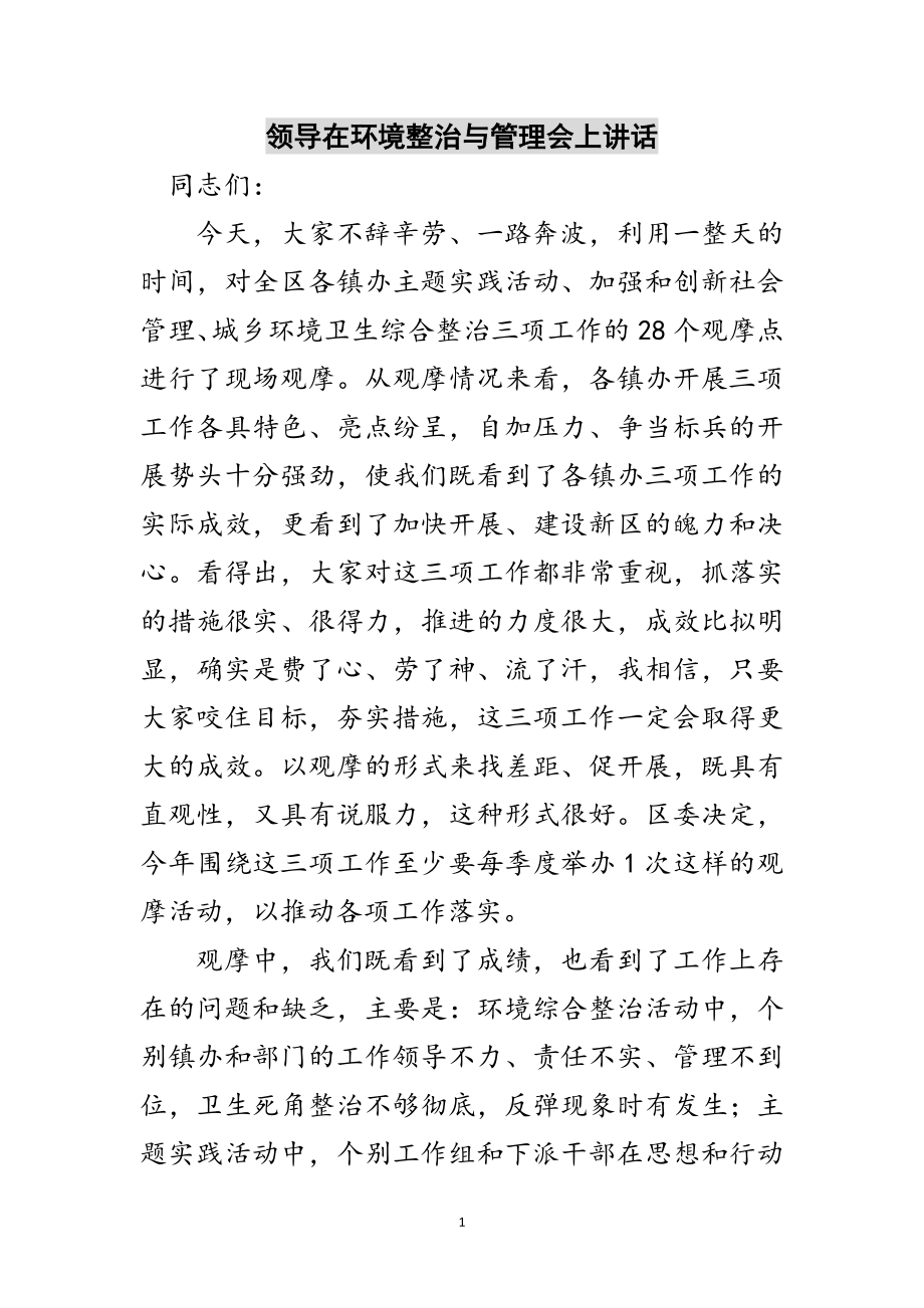 2023年领导在环境整治与管理会上讲话范文.doc_第1页