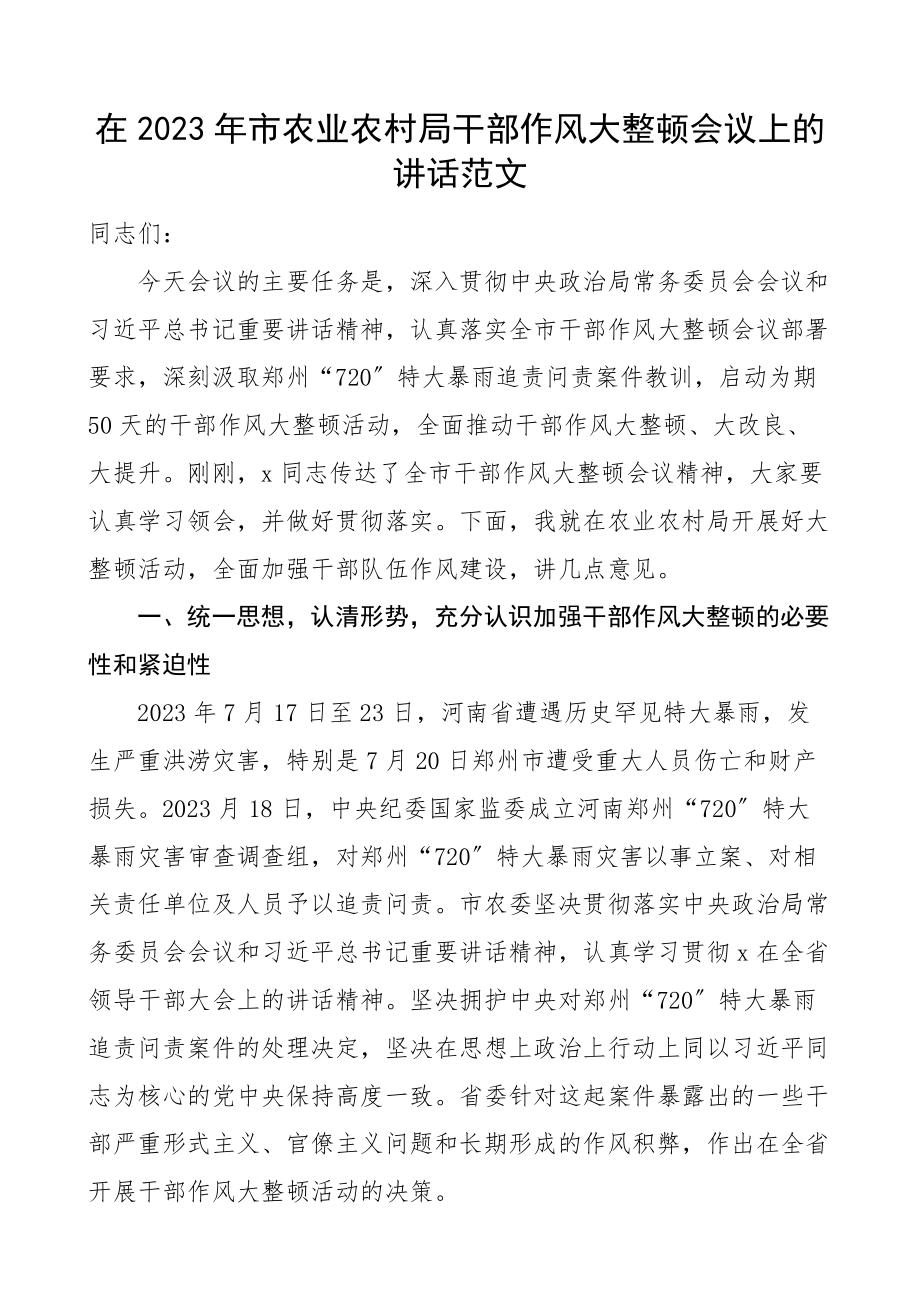 市农业农村局干部作风大整顿会议上的讲话720特大暴雨灾害追责问责案件教训.docx_第1页