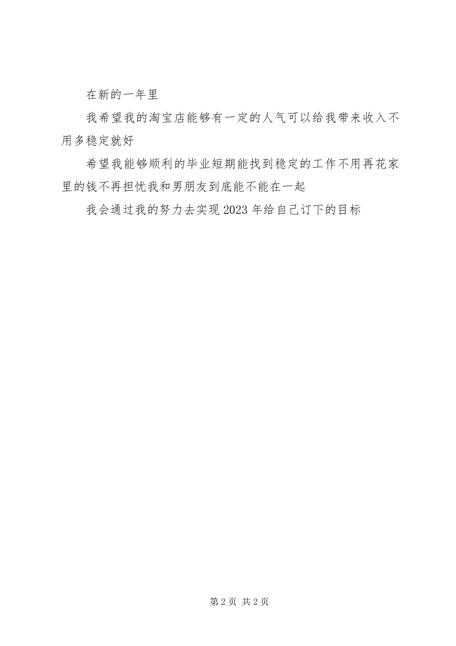 2023年终总结和新年计划.docx_第2页