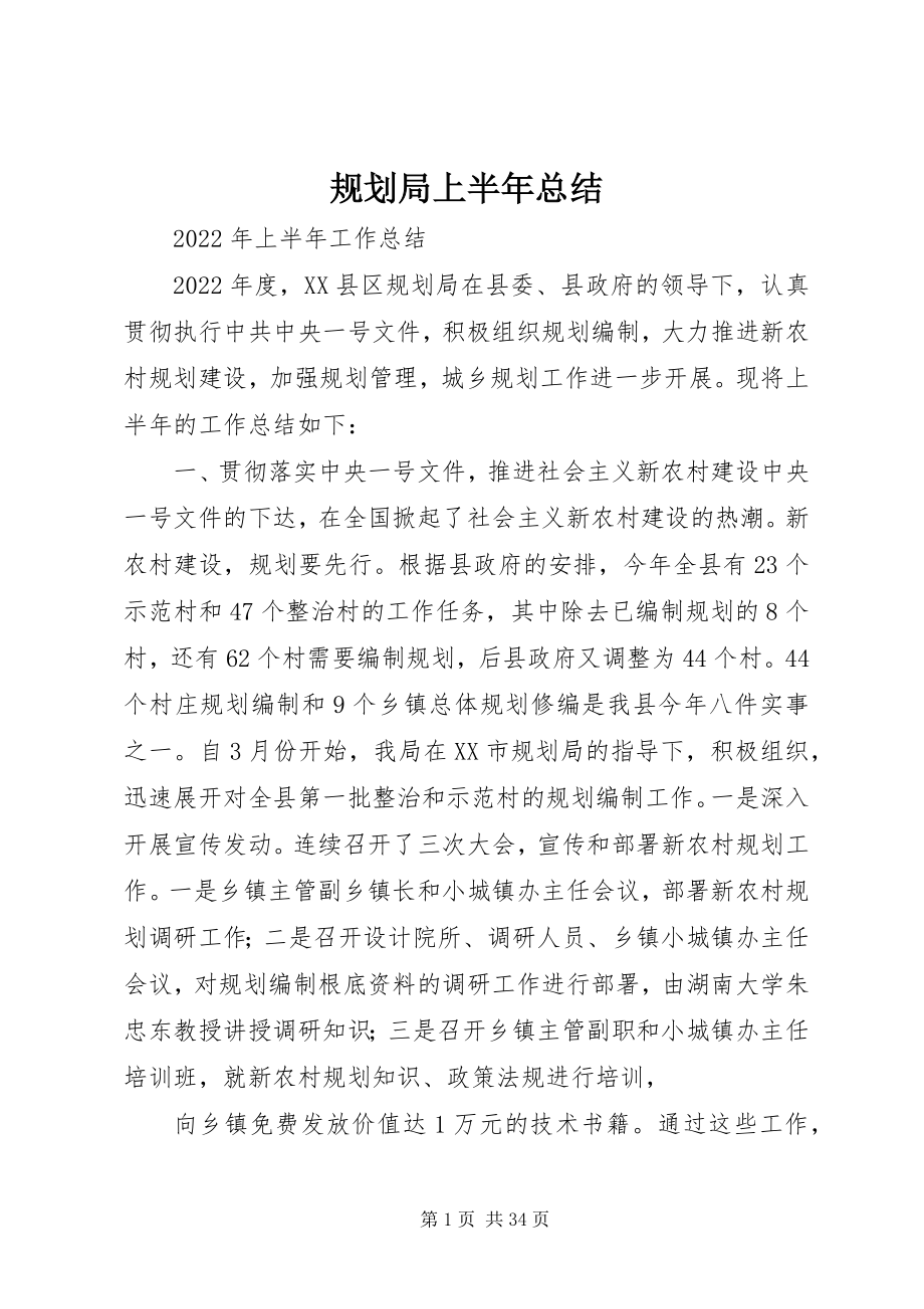 2023年规划局上半年总结.docx_第1页