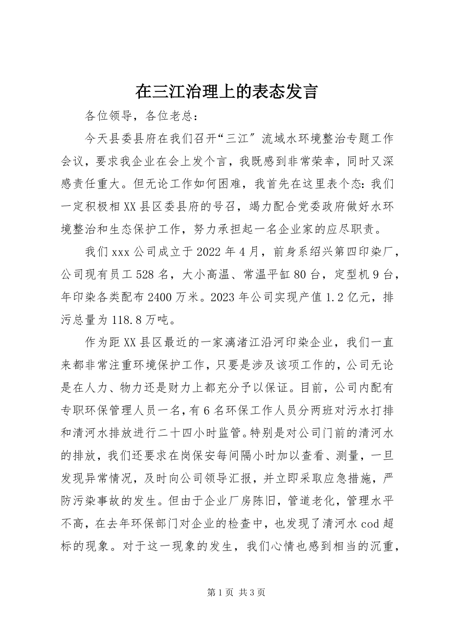 2023年在三江治理上的表态讲话.docx_第1页