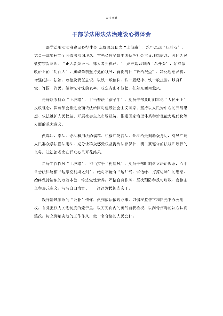 2023年干部学法用法法治建设心得体会范文.docx_第1页