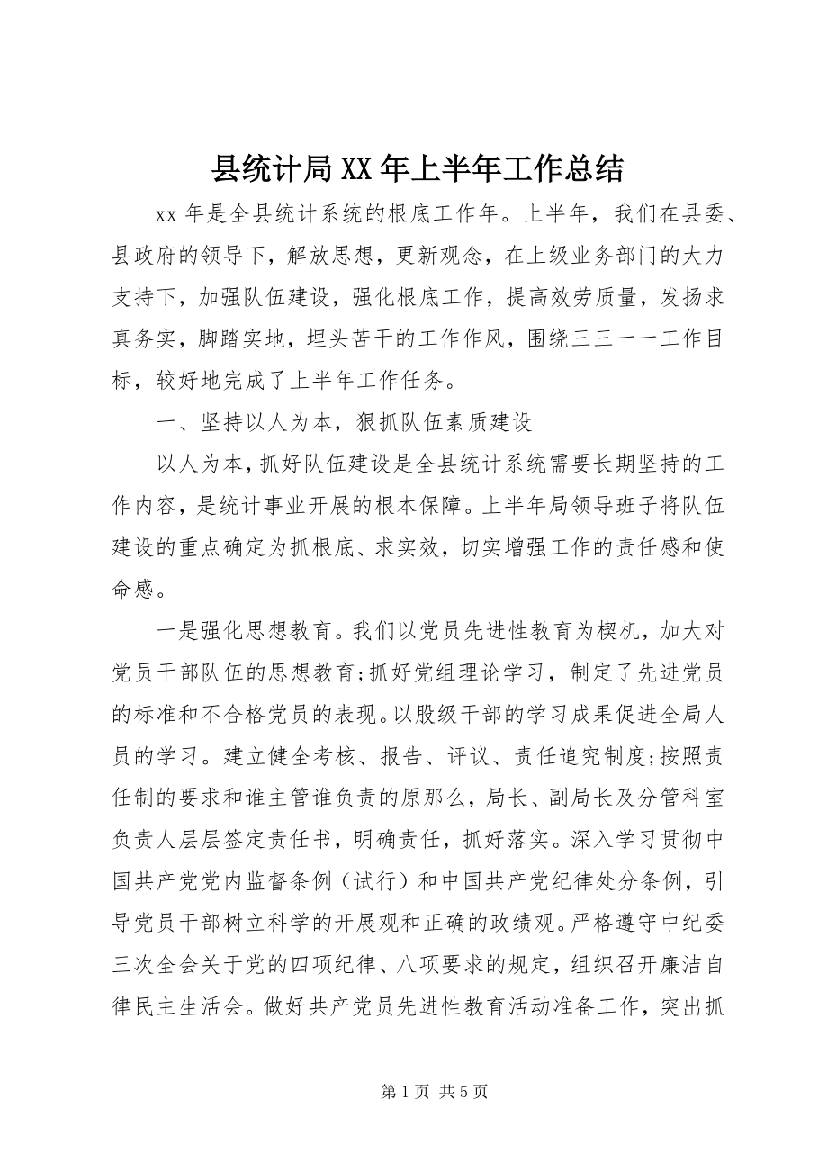 2023年县统计局上半年工作总结2.docx_第1页