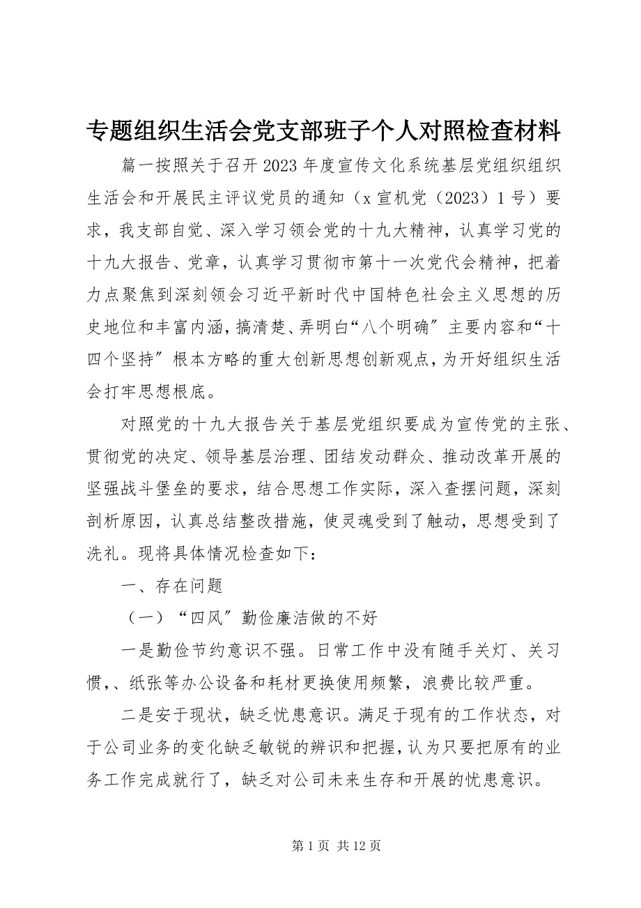 2023年专题组织生活会党支部班子个人对照检查材料.docx_第1页