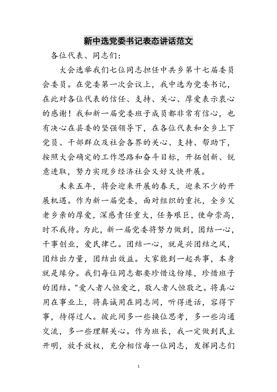 2023年新当选党委书记表态讲话范文范文.doc_第1页