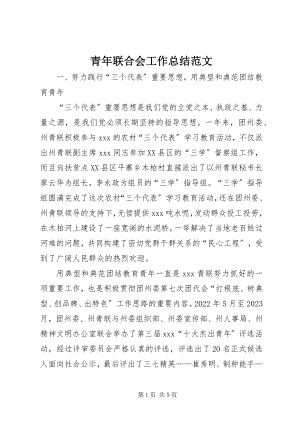 2023年青年联合会工作总结2.docx