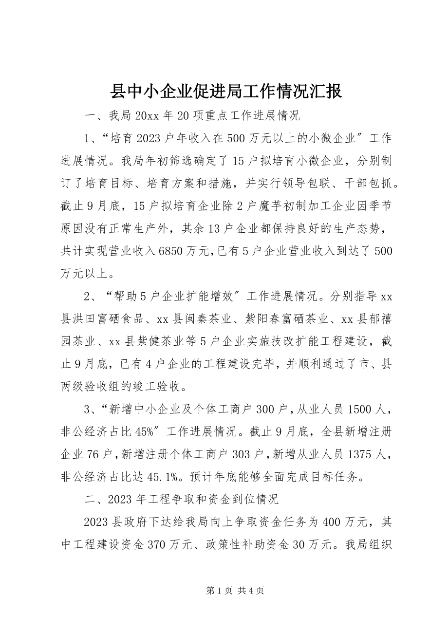 2023年县中小企业促进局工作情况汇报.docx_第1页