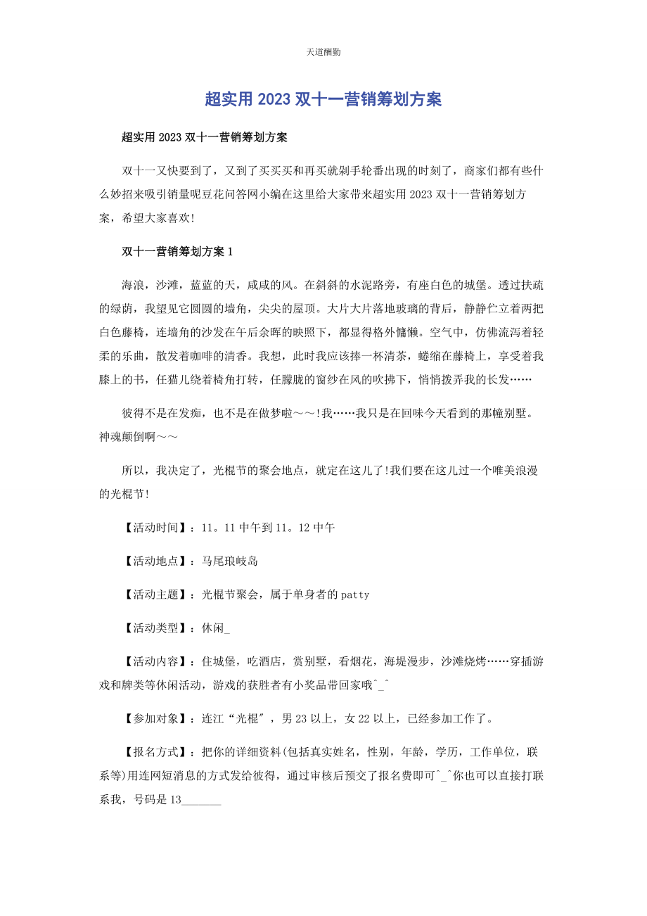 2023年超实用双十营销策划方案.docx_第1页