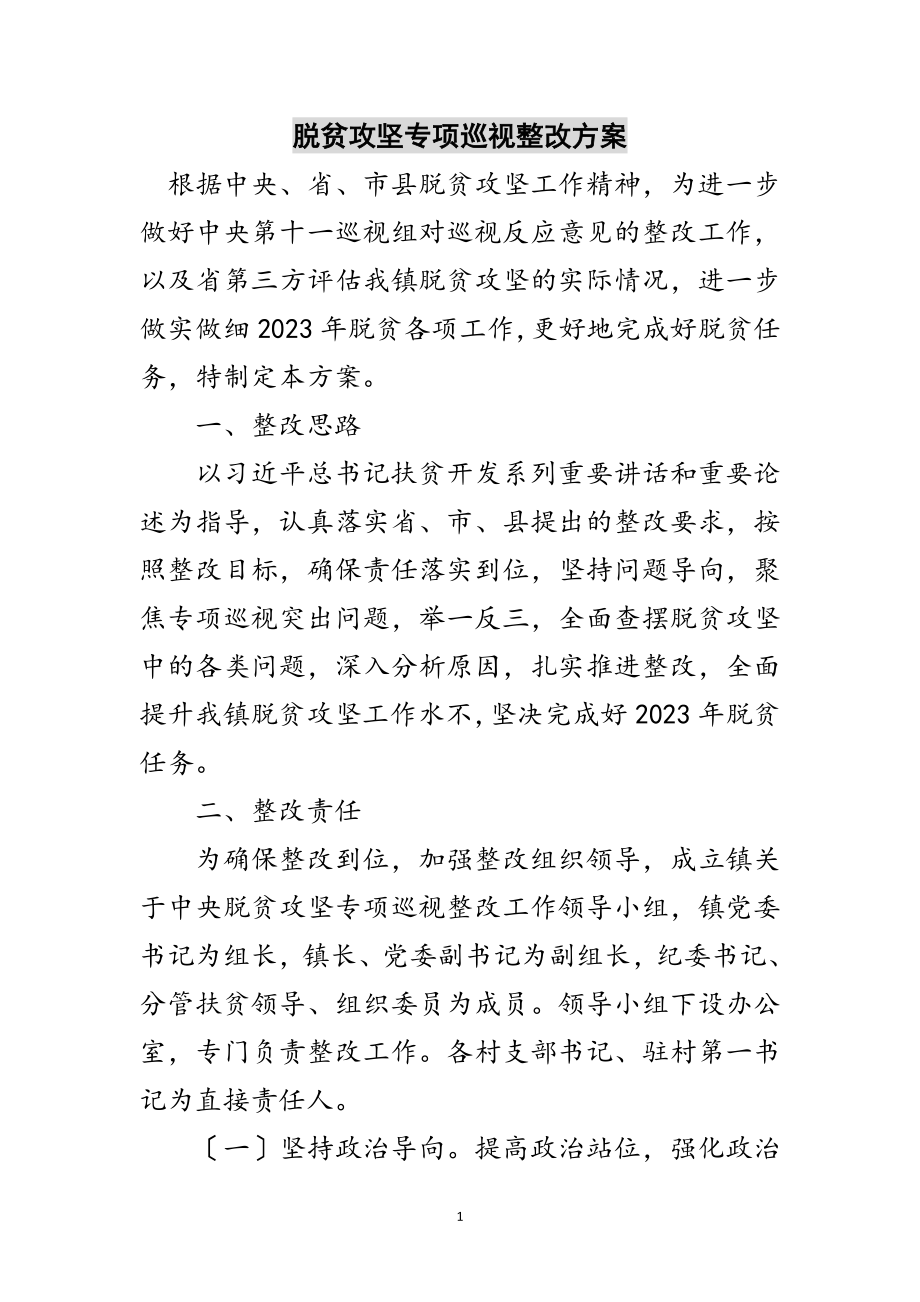 2023年脱贫攻坚专项巡视整改方案范文.doc_第1页