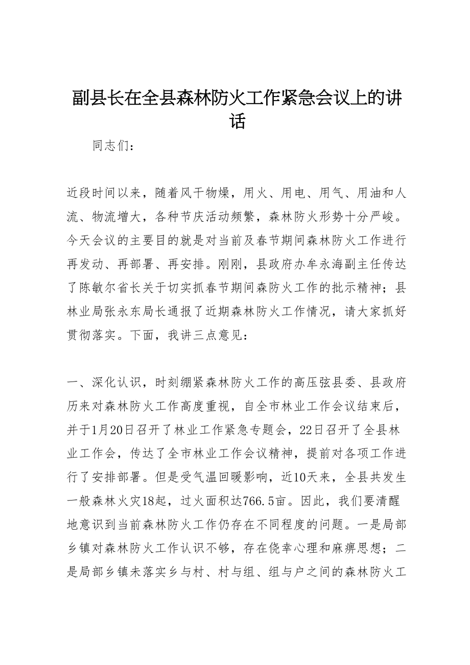 2023年副县长在全县森林防火工作紧急会议上的致辞.doc_第1页