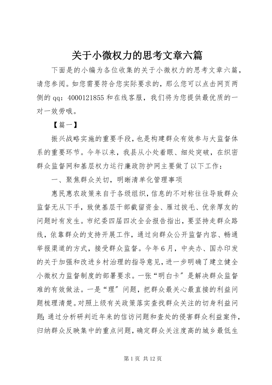 2023年小微权力的思考文章六篇.docx_第1页