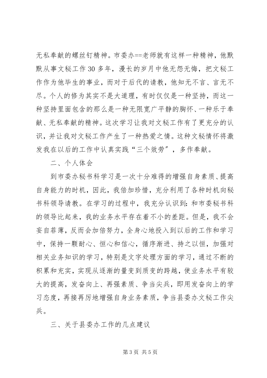 2023年市委办秘书科上挂学习工作总结.docx_第3页