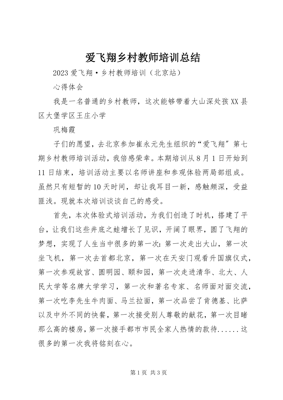 2023年《爱飞翔乡村教师培训总结》.docx_第1页