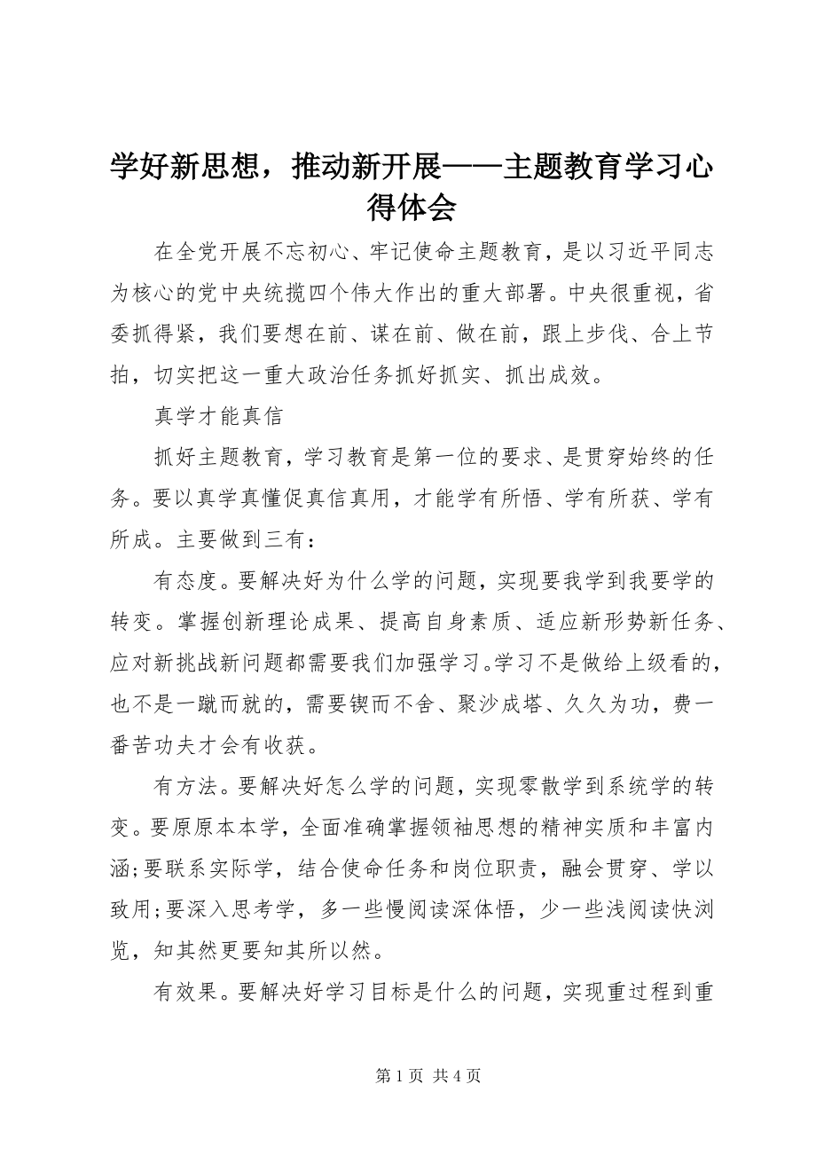 2023年学好新思想推动新发展主题教育学习心得体会.docx_第1页