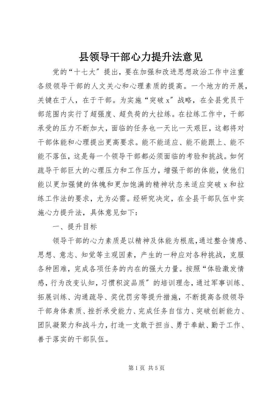 2023年县领导干部心力提升法意见.docx_第1页