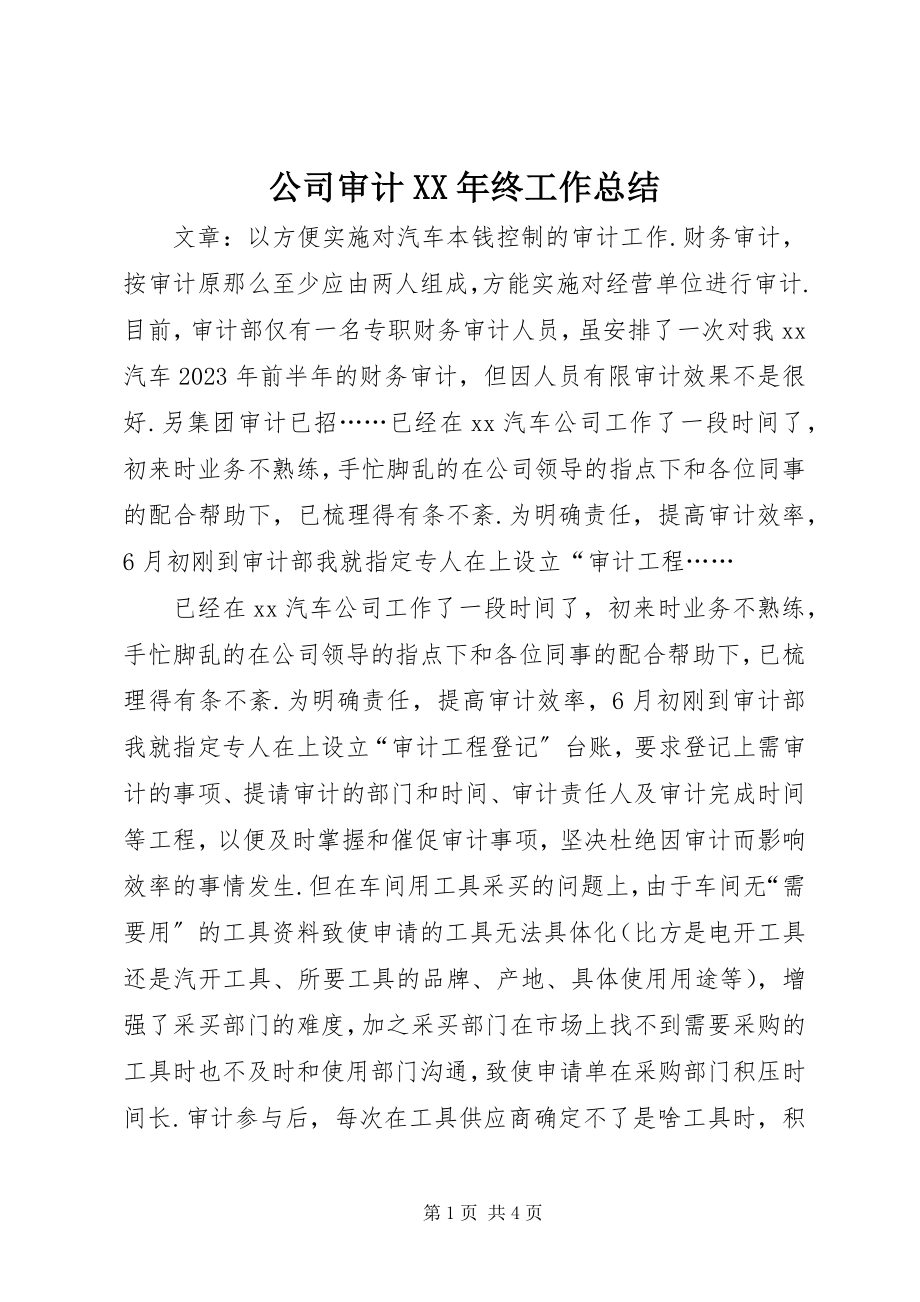 2023年公司审计某年终工作总结.docx_第1页