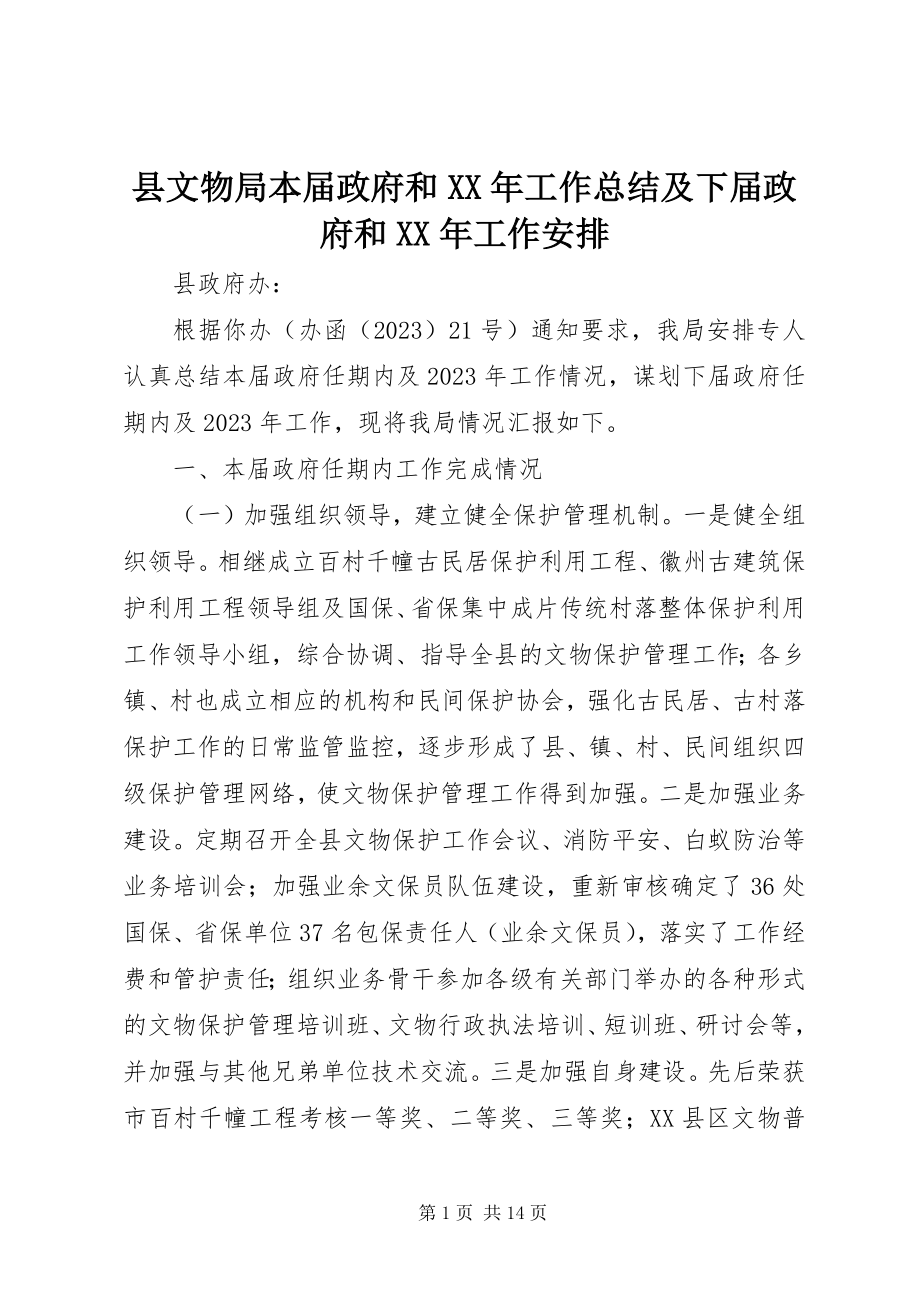 2023年县文物局本届政府和工作总结及下届政府和工作安排.docx_第1页