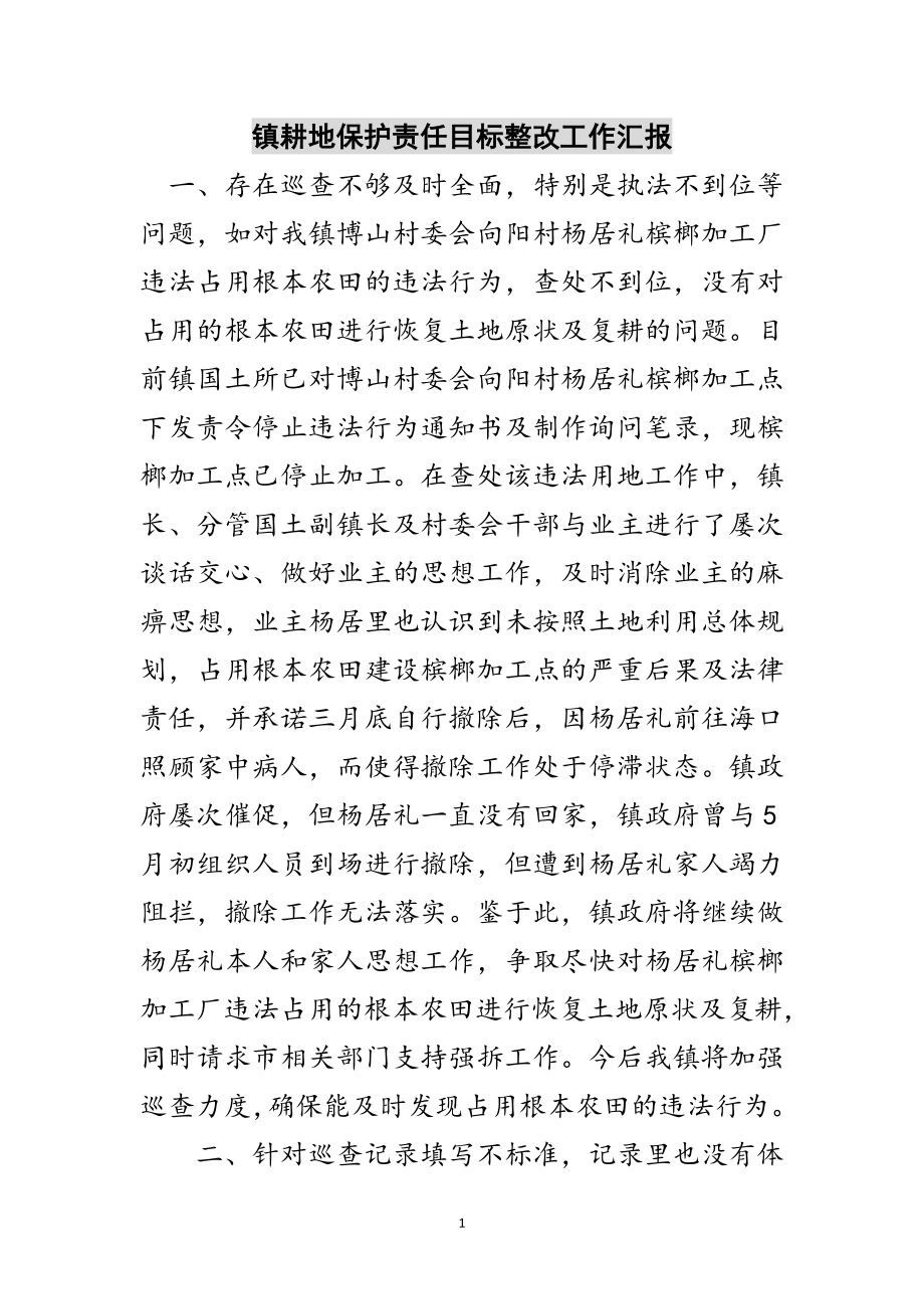 2023年镇耕地保护责任目标整改工作汇报范文.doc_第1页