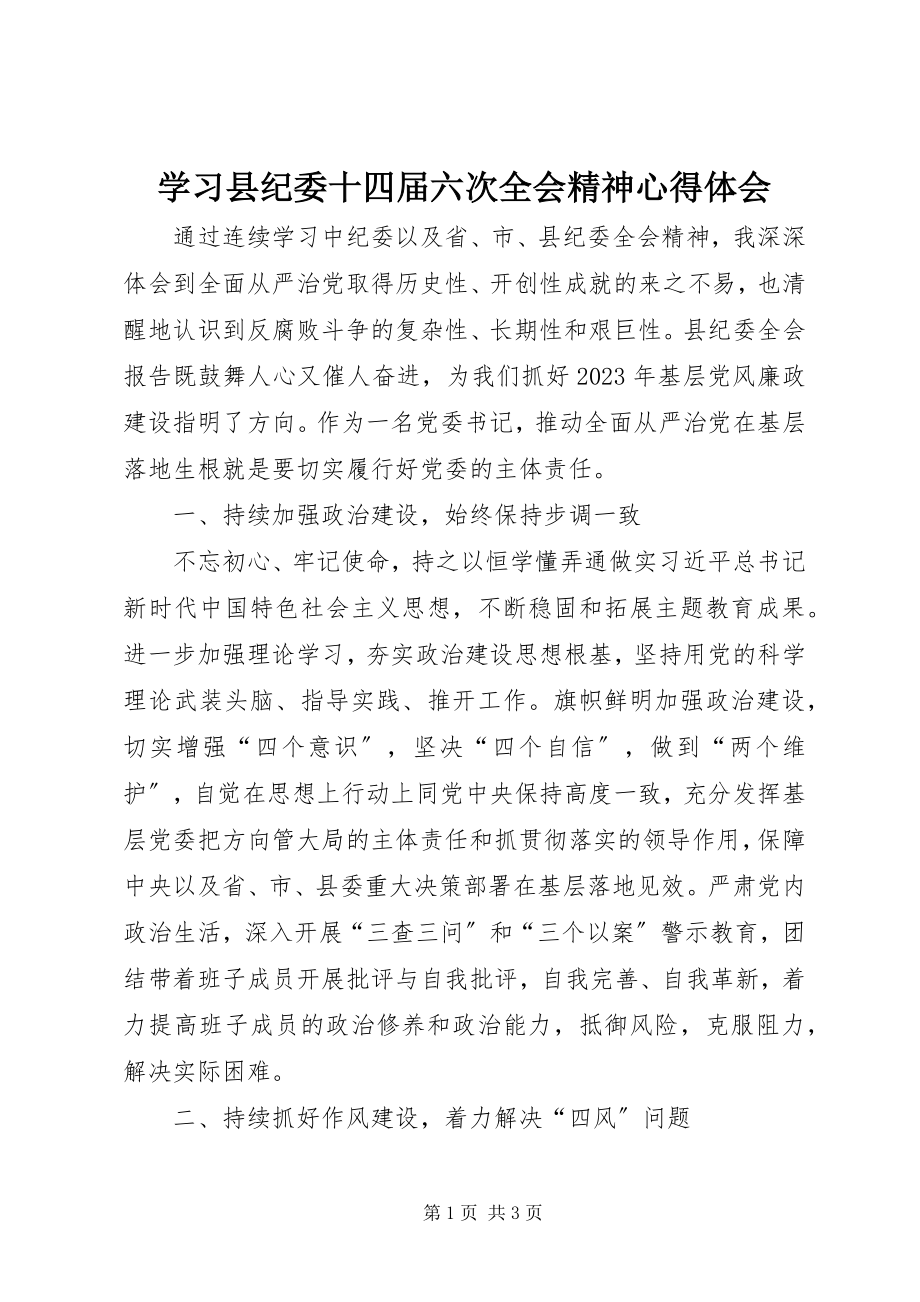 2023年学习县纪委十四届六次全会精神心得体会.docx_第1页