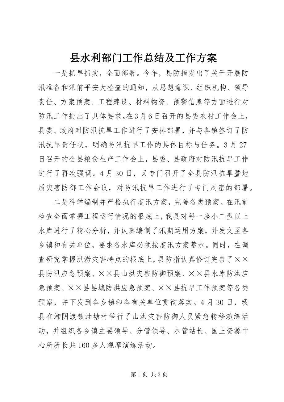 2023年县水利部门工作总结及工作计划.docx_第1页