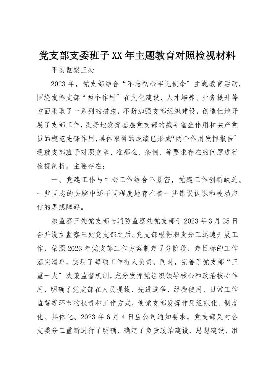 2023年党支部支委班子某年主题教育对照检视材料.docx_第1页