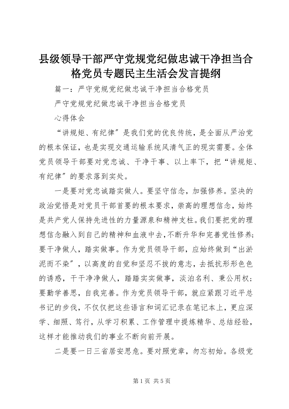 2023年县级领导干部严守党规党纪做忠诚干净担当合格党员专题民主生活会讲话提纲.docx_第1页