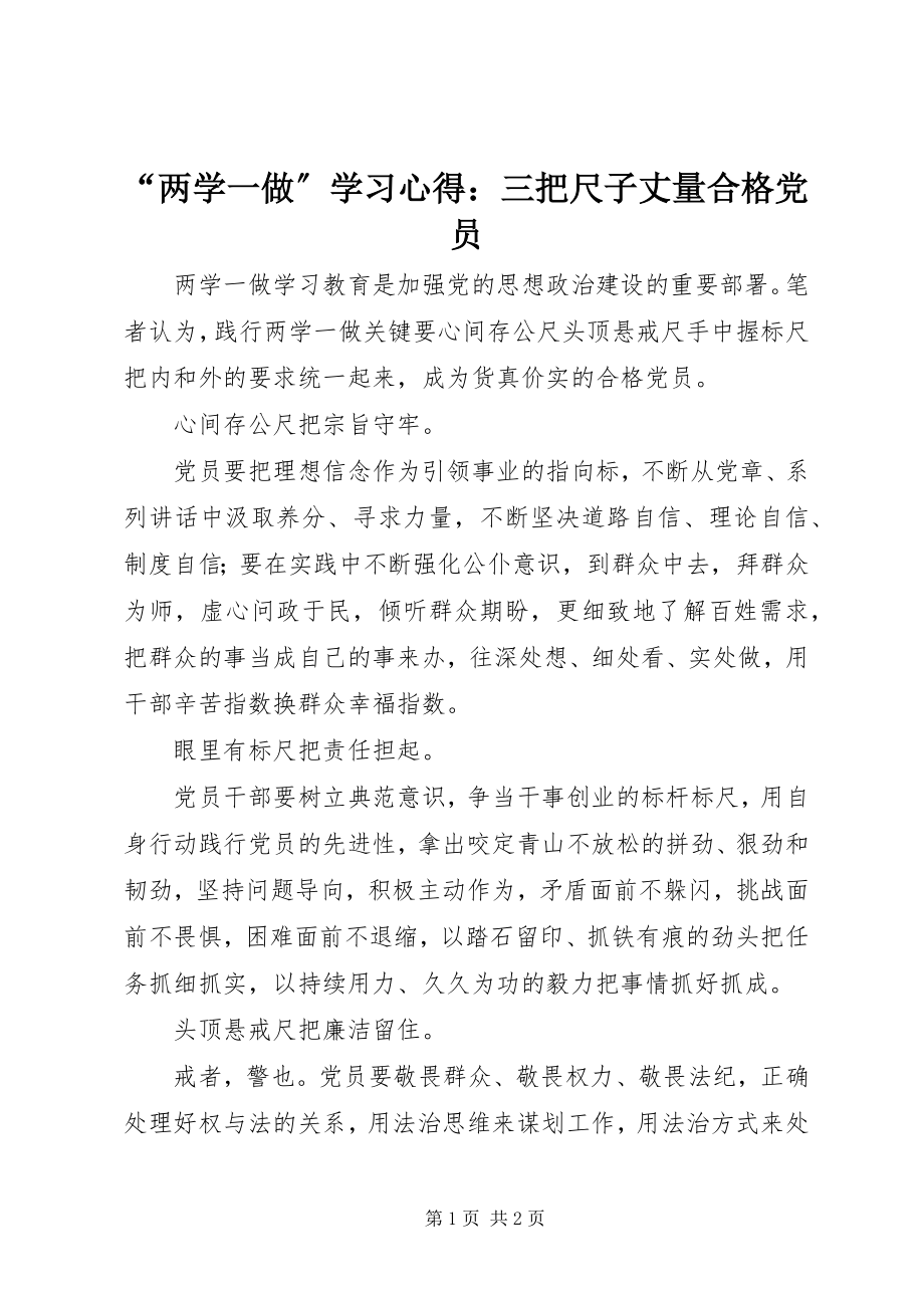 2023年“两学一做”学习心得三把尺子丈量合格党员新编.docx_第1页