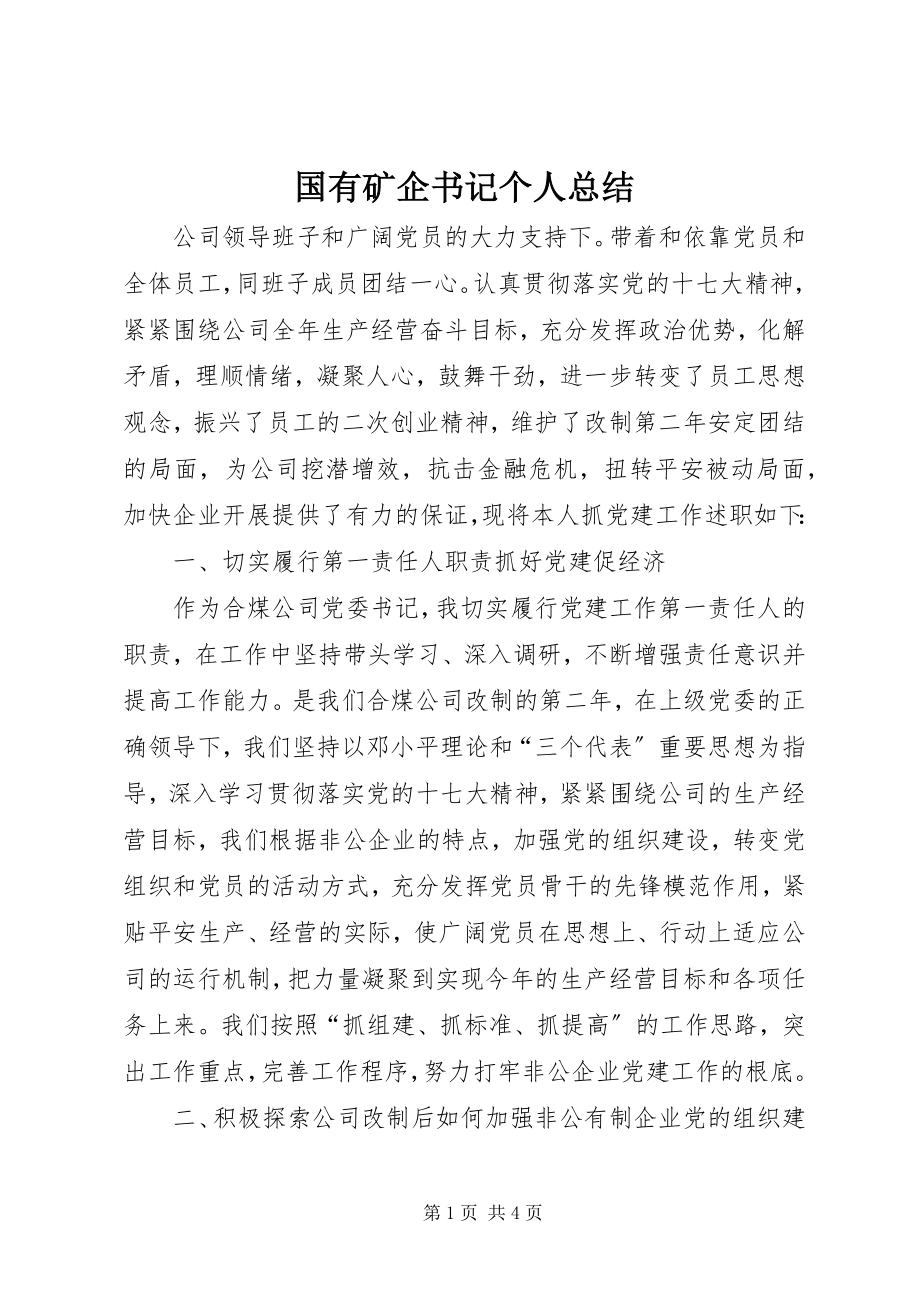 2023年国有矿企书记个人总结.docx_第1页