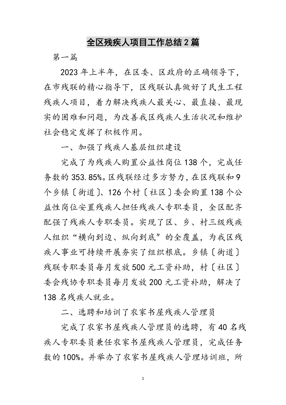 2023年全区残疾人项目工作总结2篇范文.doc_第1页