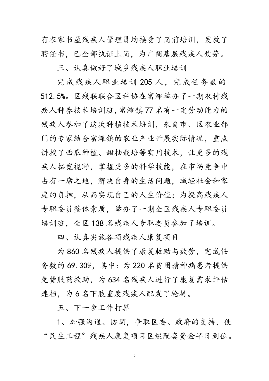 2023年全区残疾人项目工作总结2篇范文.doc_第2页