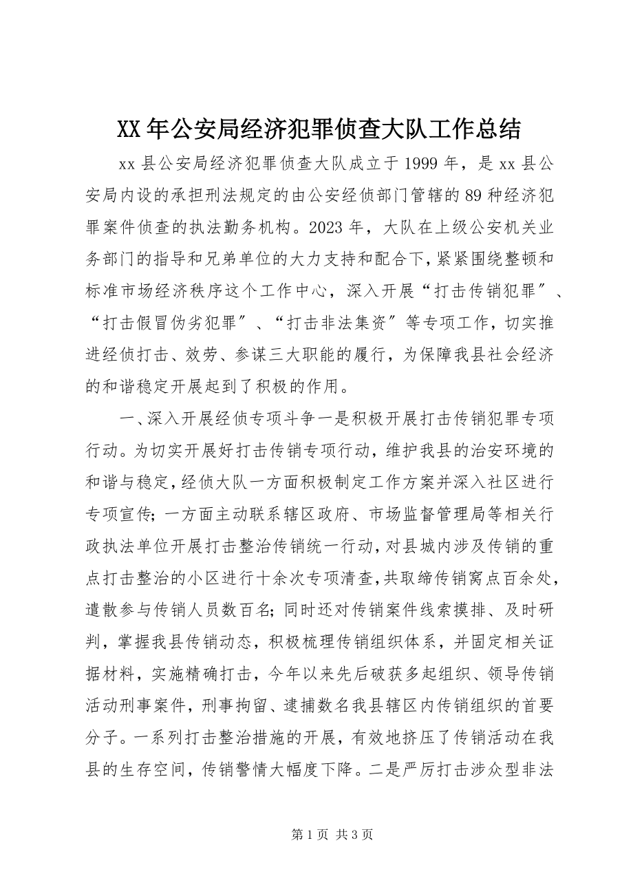 2023年公安局经济犯罪侦查大队工作总结.docx_第1页