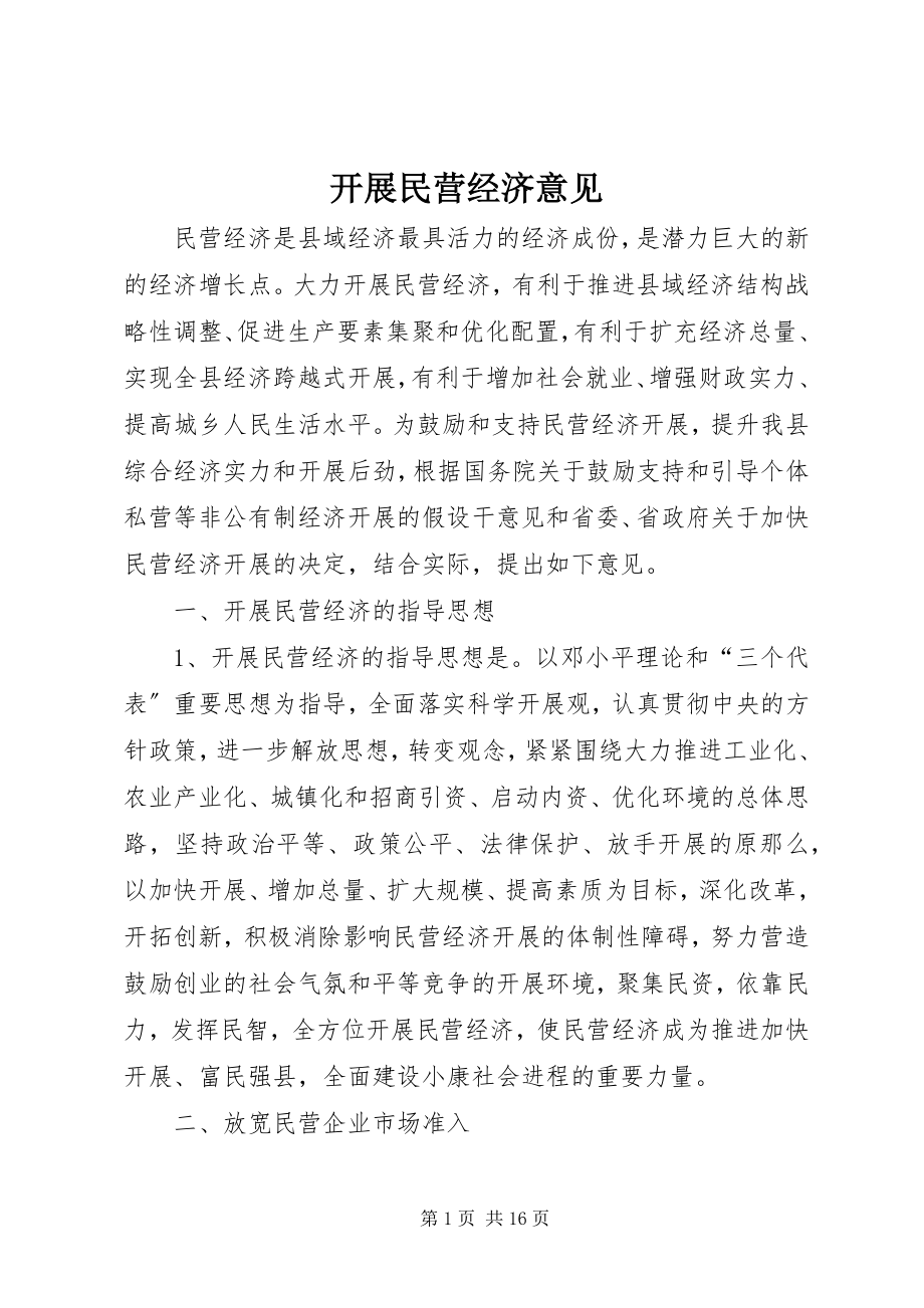 2023年发展民营经济意见.docx_第1页