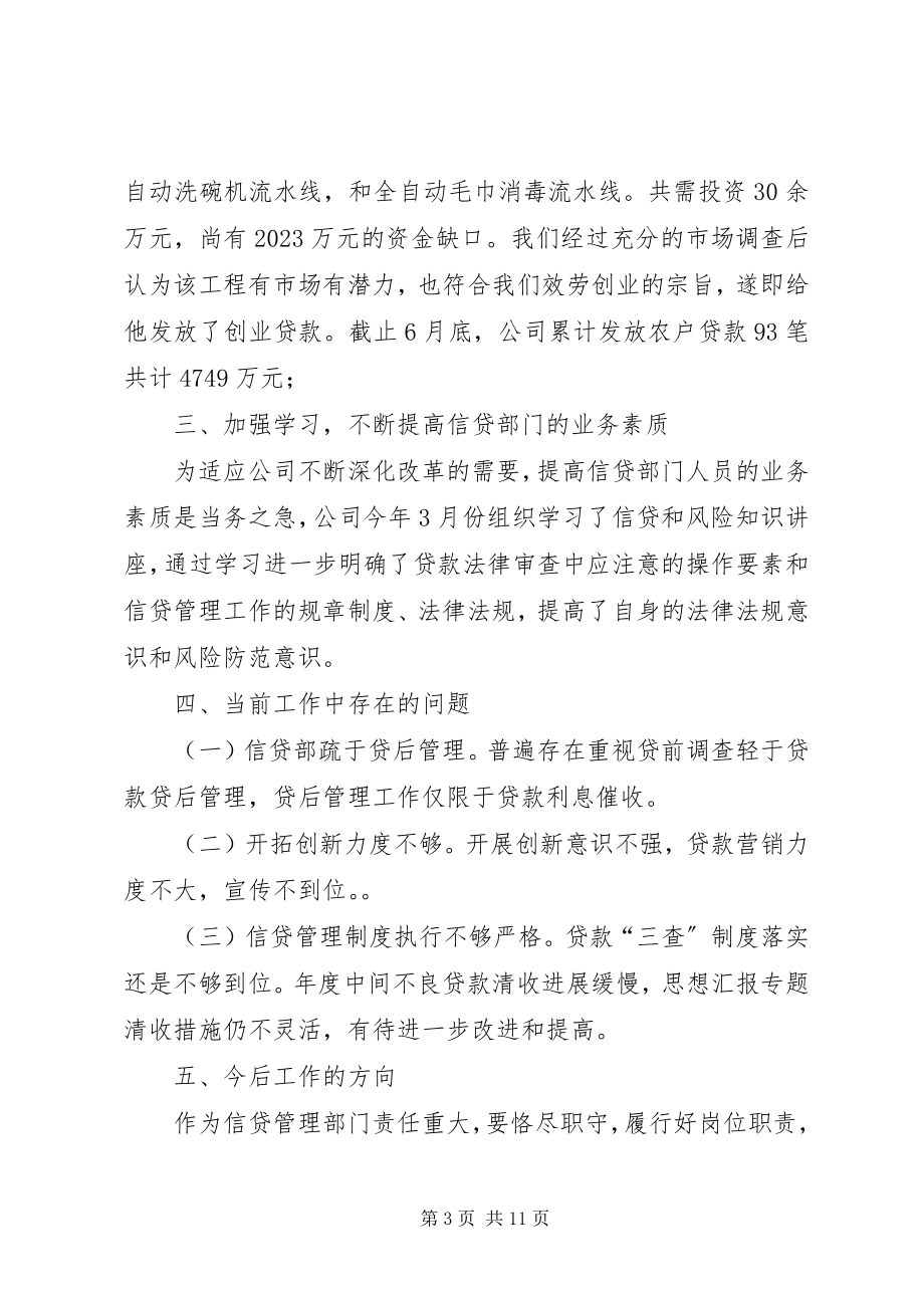 2023年小贷公司半年总结.docx_第3页