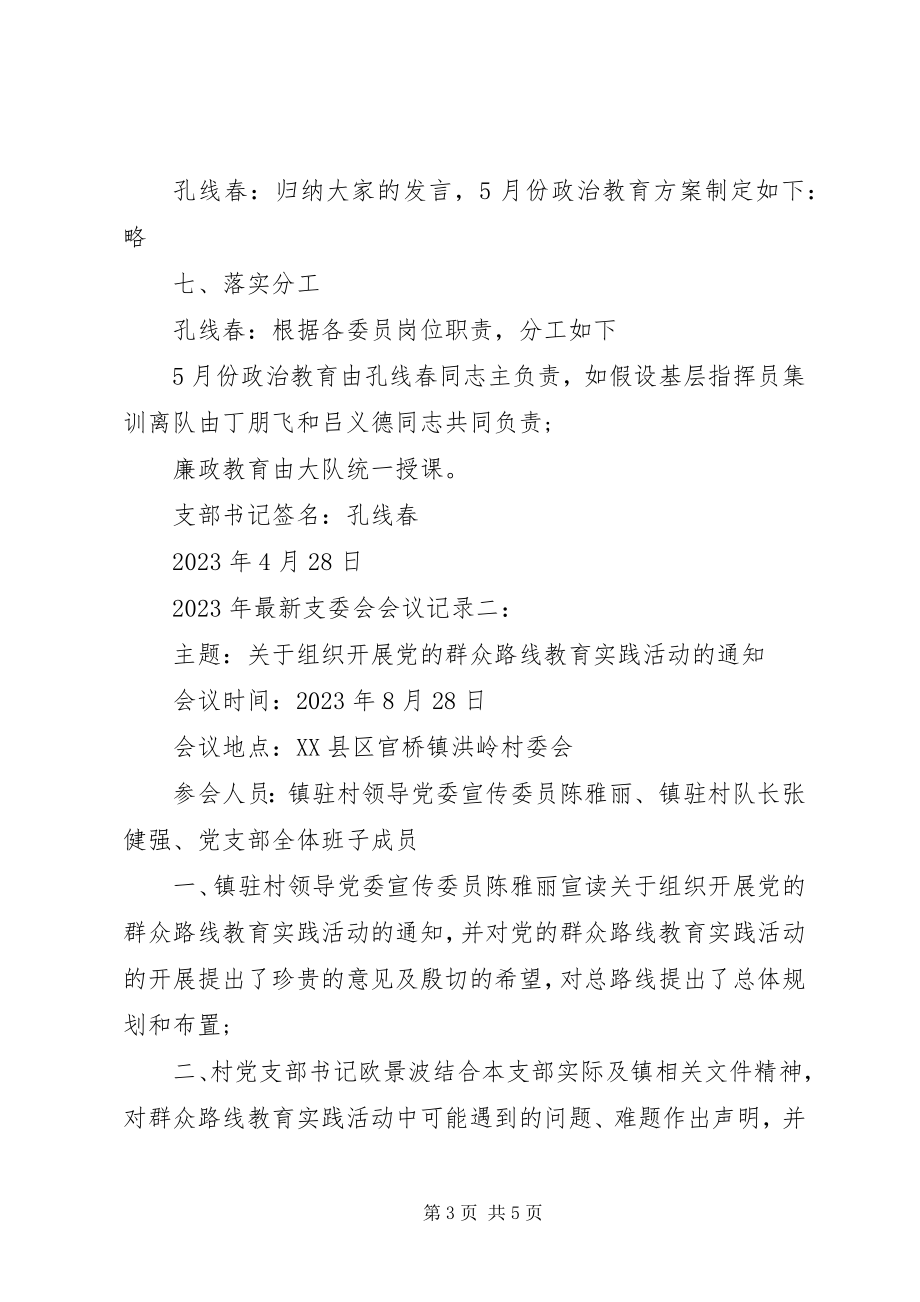 2023年支委会会议记录.docx_第3页