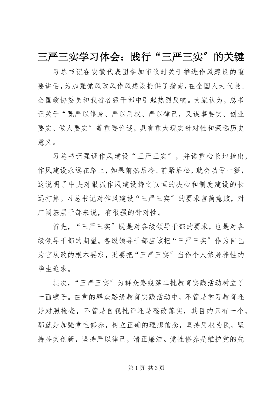 2023年三严三实学习体会践行“三严三实”的关键.docx_第1页