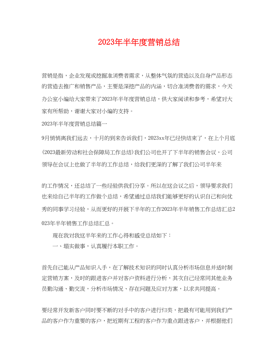 2023年半度营销总结.docx_第1页