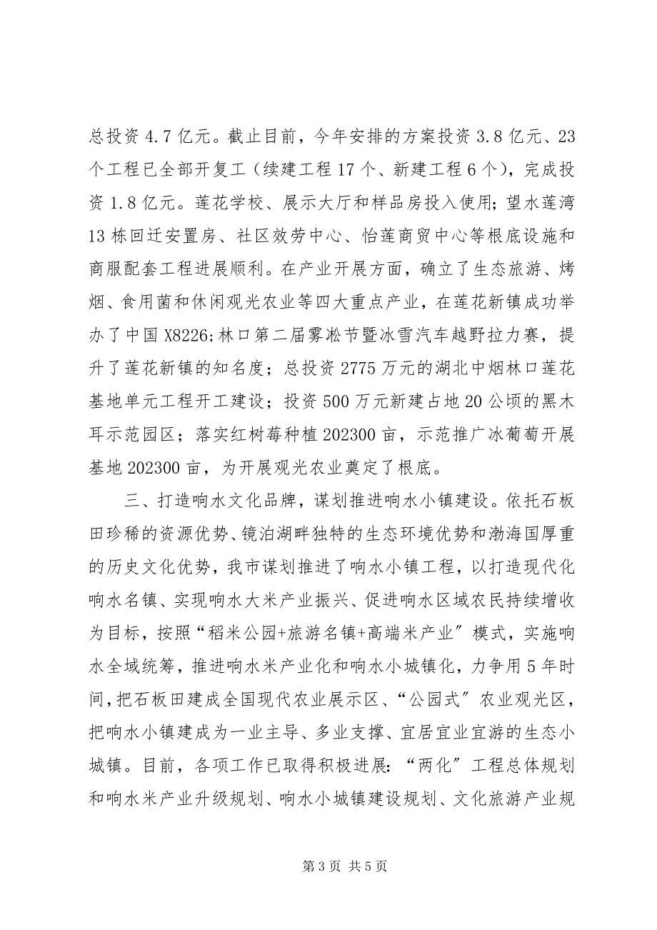 2023年在全省旅游名镇建设工作现场会上的讲话提纲.docx_第3页