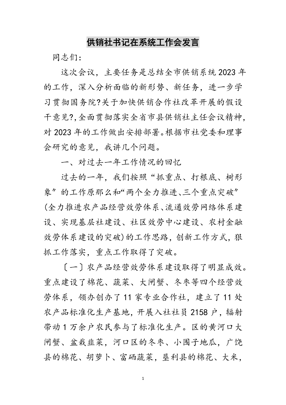 2023年供销社书记在系统工作会发言范文.doc_第1页