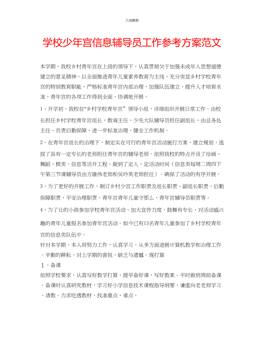 2023年学校少宫信息辅导员工作计划.docx_第1页