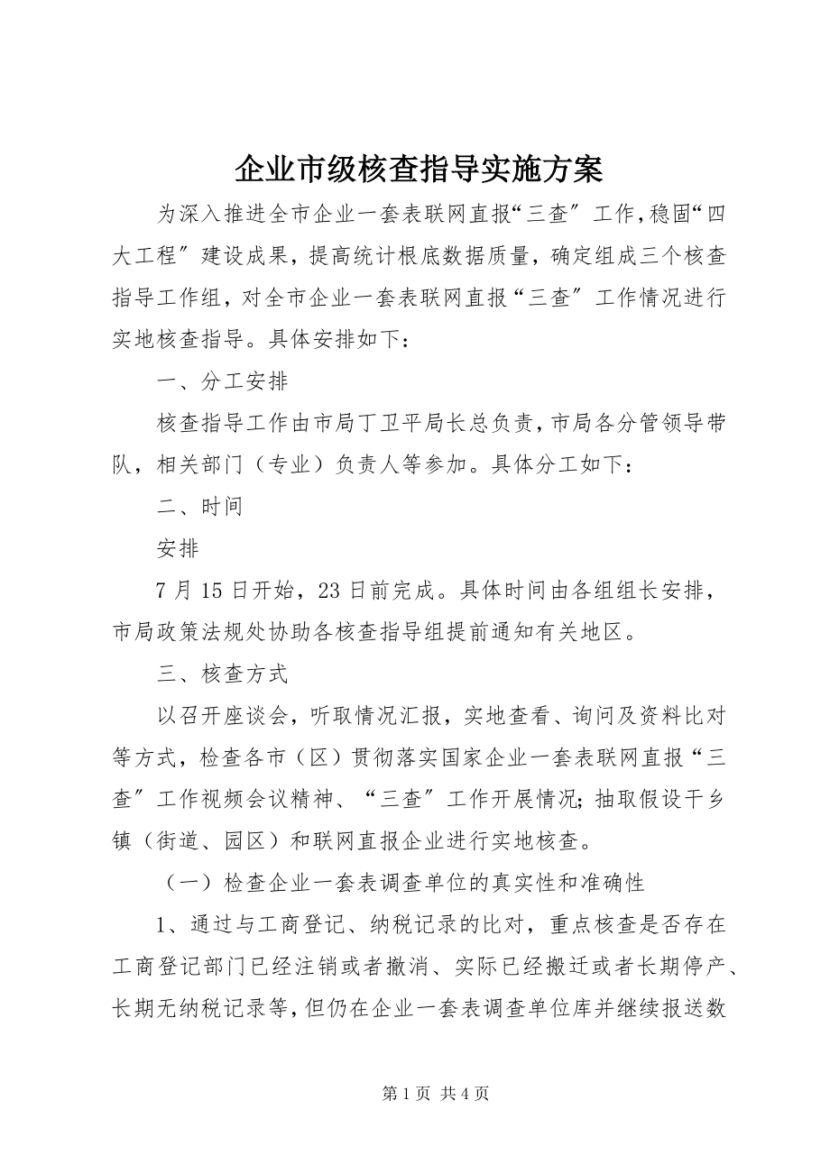 2023年企业市级核查指导实施方案.docx_第1页