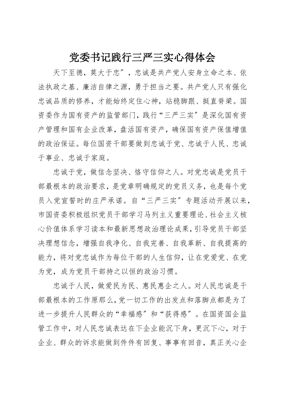 2023年党委书记践行三严三实心得体会.docx_第1页